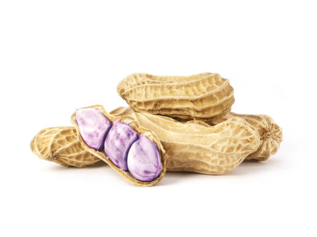 Boiled peanuts isolated on white background. Pile of peanutsの写真素材
