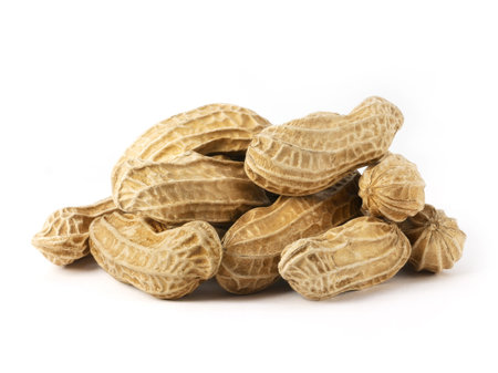 Boiled peanuts isolated on white background. Pile of peanutsの写真素材