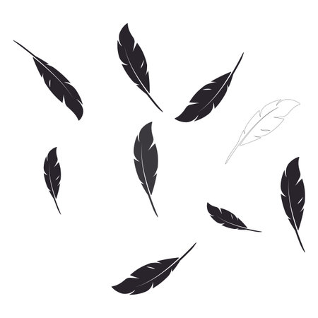 Feather illustration  vector templateのイラスト素材