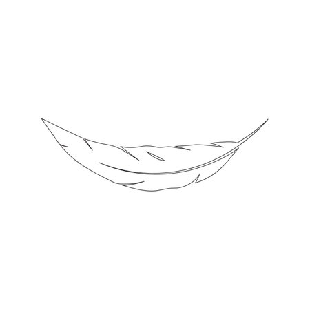 feather logo stock vector  templateのイラスト素材