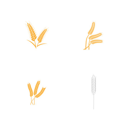 Agriculture wheat Template vector icon designのイラスト素材