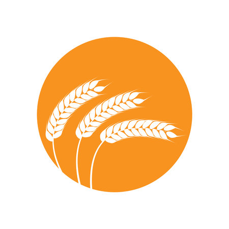 Agriculture wheat  Template vector icon designのイラスト素材