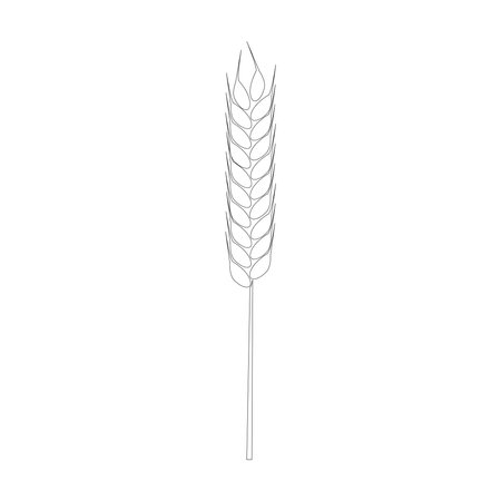Agriculture wheat  Template vector icon designのイラスト素材