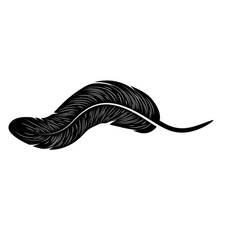 feather  illustration designのイラスト素材