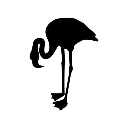 flamingo icon vector illustration designのイラスト素材