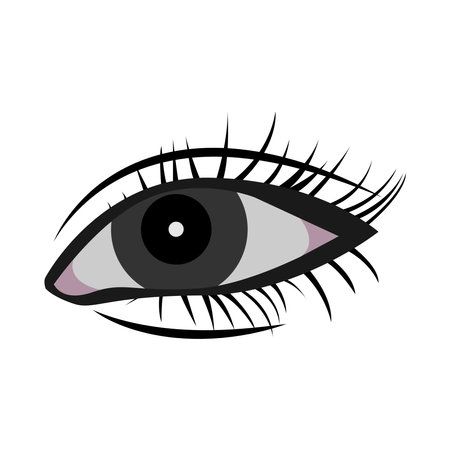 eye icon vector illustration designのイラスト素材