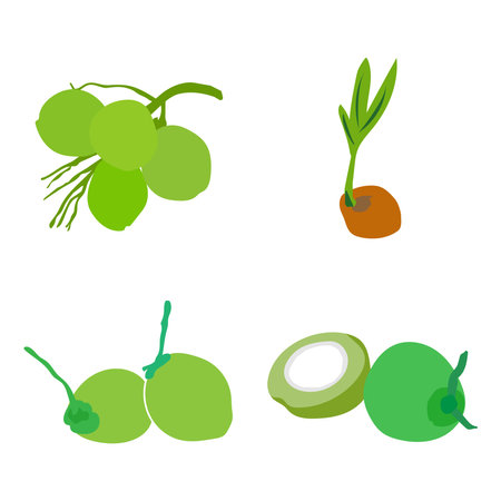 coconut fruit icon vector illustration designのイラスト素材