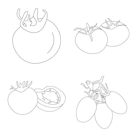 tomato fruit icon illustration designのイラスト素材