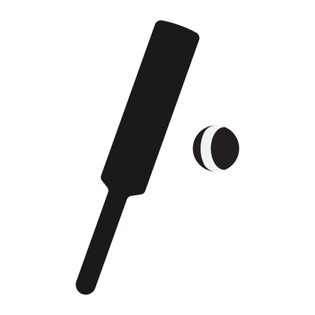 cricket bat icon vector illustration designのイラスト素材