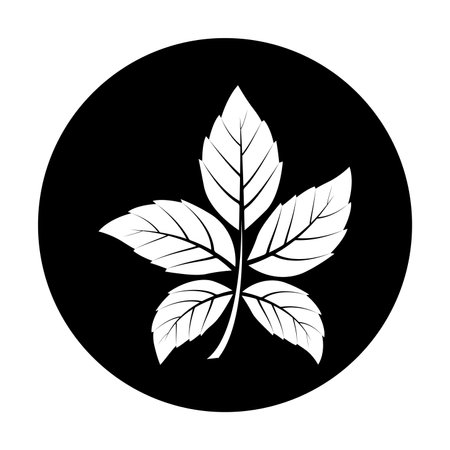 leaf logo vector illustration designのイラスト素材