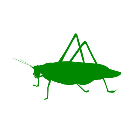 katydid grasshopper icon illustration designのイラスト素材