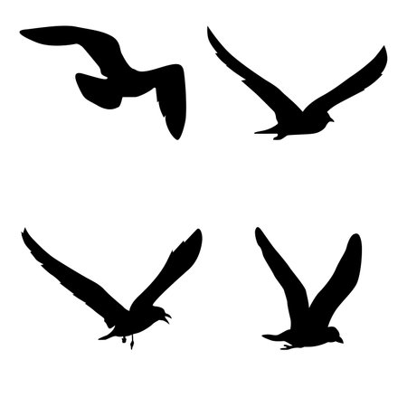 Flying Bird Silhouette Icon vector illustration designのイラスト素材