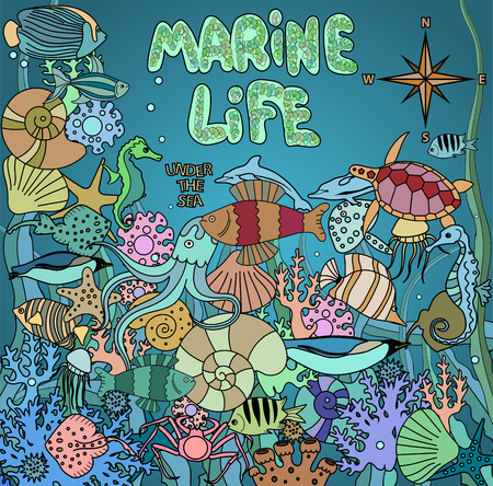 Doodles marine life. Sea faunaのイラスト素材