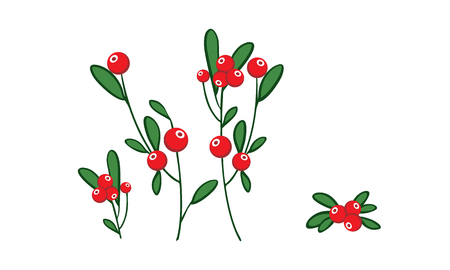 Red berries wiht green leavesのイラスト素材