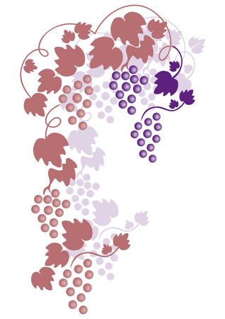 bunch of grapesのイラスト素材