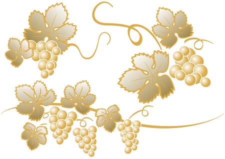golden cluster of grapesのイラスト素材