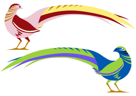 pheasantのイラスト素材