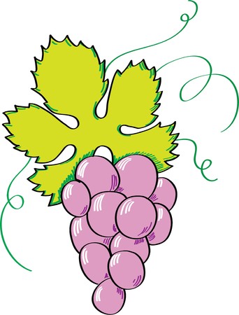 grapesのイラスト素材