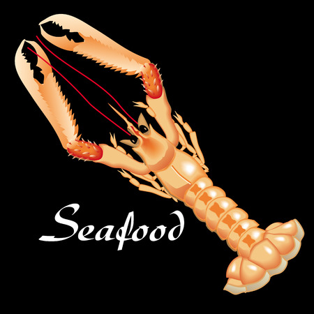 seafoodのイラスト素材