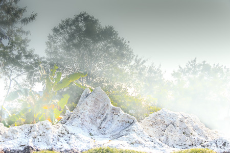 The artificial Machhapuchhre Mountain or Himal with trees in the foggy morning in Pokhara,Nepal.の写真素材