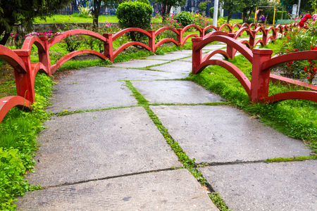 Beautiful garden or Park decorating concept with flowers.の写真素材