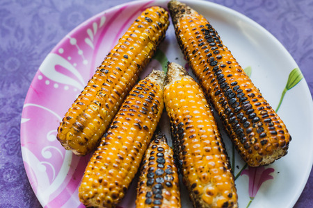 Delicious roasted himalayan corn on the plateの写真素材
