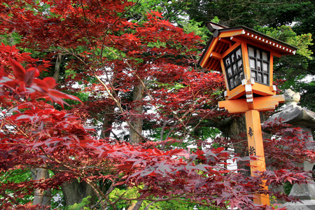 Japanese Style Lamp during Autumn Seasonのeditorial素材