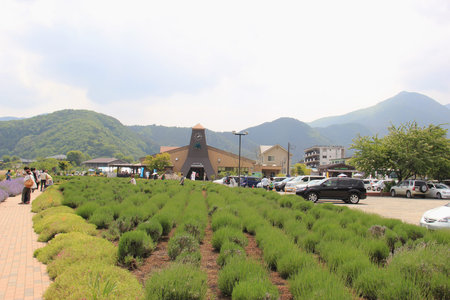 Kawaguchiko, Japan - May 26, 2013: The Kawaguchiko Natural Living Center is a blueberry cultural center. The facilities offer an array of products with blueberry as the central theme.のeditorial素材