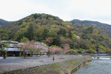 Kyoto, Japan - April 11, 2015: Arashiyama is a nationally designated Historic Site and Place of Scenic Beauty.のeditorial素材