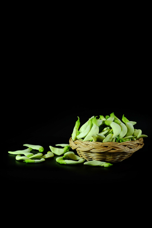 Isolated of Humming bird tree, Agati or Sesbania grandiflora Poiret on back background and space for write wording, Thai local herbal vegetable for making many kinds of healthy food for health concernの写真素材