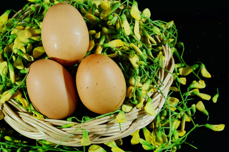Sesbania javanica and eggs on black background and space for write wording, local street plant or...