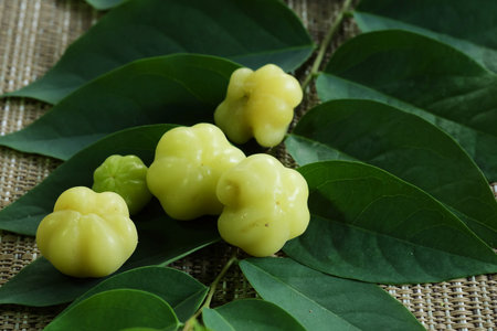 Star gooseberry, sour herbal fruit, cold and allergy treatment, local sour tropical fruit for mixing...