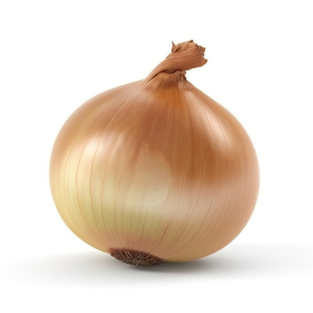 onion isolated on white background. 3d illustration. Studio.の素材