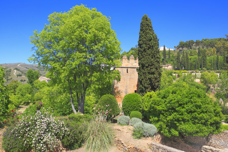 Alhambra garden, Granada, Andalusia, Spainの写真素材