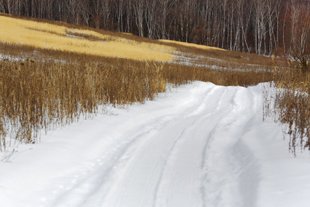 Road in winter forest, white snow, tree, fieldの写真素材
