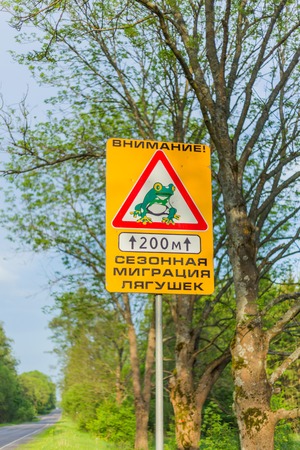 Roiad sign beware frog migration nature protectionの写真素材