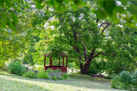 Comfortable arbour in the park green forestの写真素材