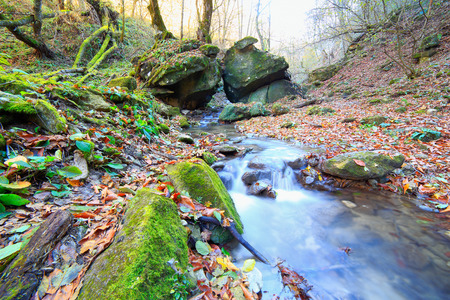 Forest creek at autumn water mountain river landscapeの写真素材