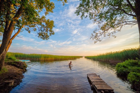 River shore with boy swimming summer evening treeの写真素材