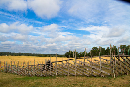 Beautiful wheat field landscape with wooden fenceの写真素材