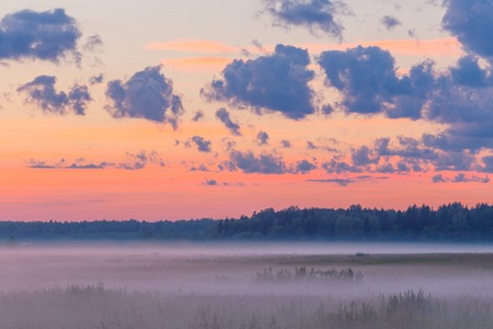 Fog field landscape pink sky dusk early mornibg summerの写真素材
