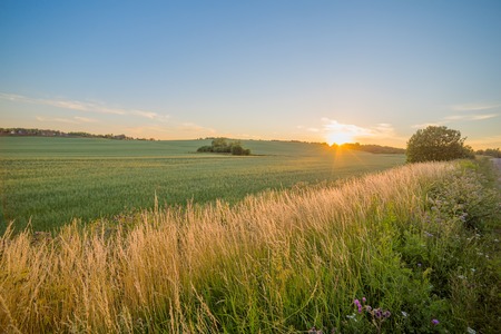 Sinset field rural countryside grass land agricultureの写真素材
