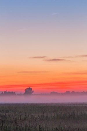 Fog field landscape field early morning summerの写真素材