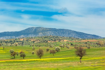 Scenery view of mountain valley with trees and grass fieldsの写真素材