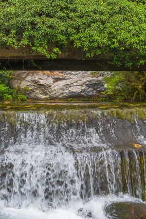 Small river park waterfall cascade with green plants aboveの写真素材