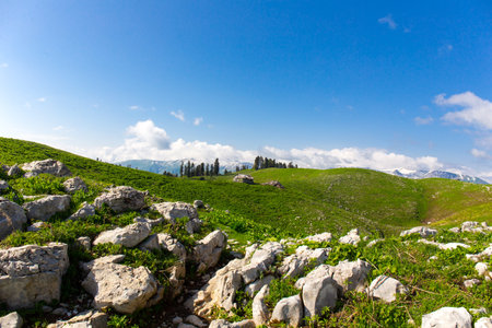 Green hills and mountains meadow cloud landscapeの写真素材