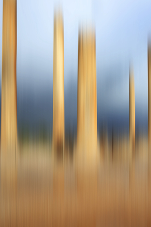 Abstract colorful blurred background for creative designの写真素材