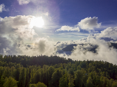 Drone flight along the trees at mountainsの写真素材