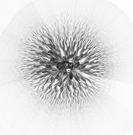 Monochrome abstract fractal illustration for creative designの写真素材