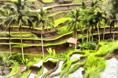 Colorful painting agricultural terracesの写真素材